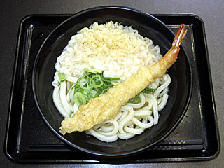海老天うどん