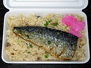 鯖威張る弁当