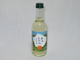 ���v�����񂩂�T�C�_�[