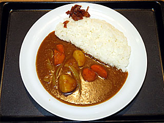ごろごろ野菜カレー並