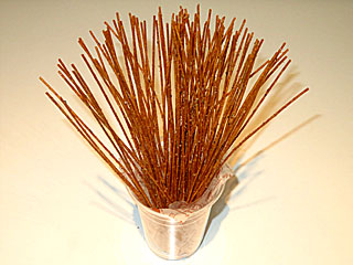 �J���J���p�X�^